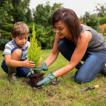 Green Ghana project